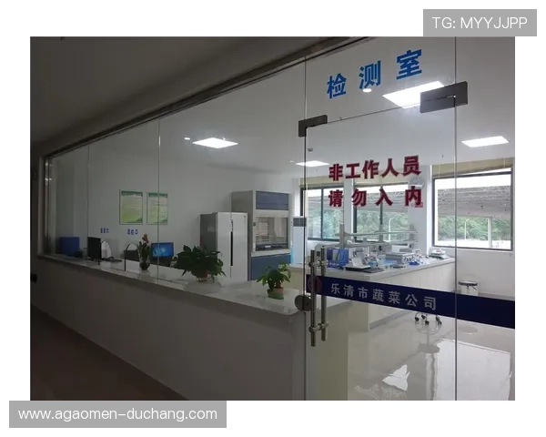 澳门凯旋门酒店事件引发的公众安全意识提升与行业规范建设