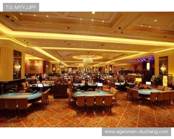 澳门百利宫分店最新娱乐项目介绍，丰富你的娱乐生活体验