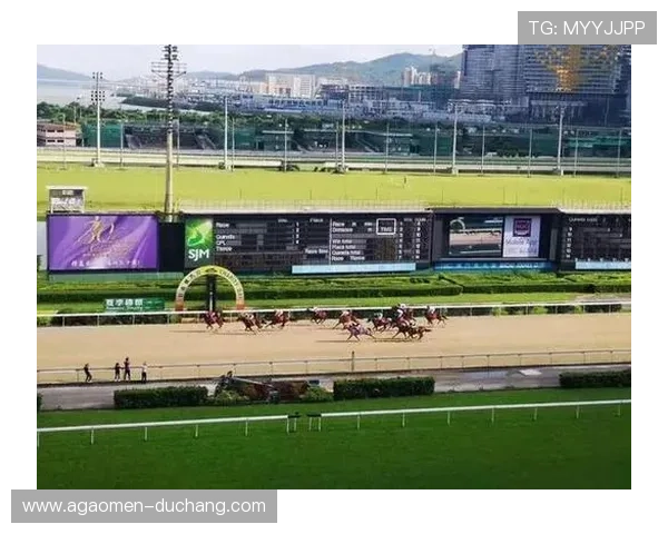 澳门赛马日赛事安排，详细介绍当天比赛时间与赛马队伍信息