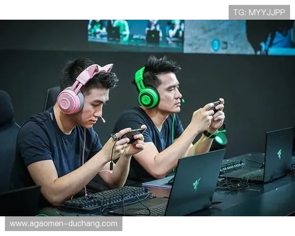 K8真人官网入口：轻松访问多种真人娱乐游戏的最佳平台指南