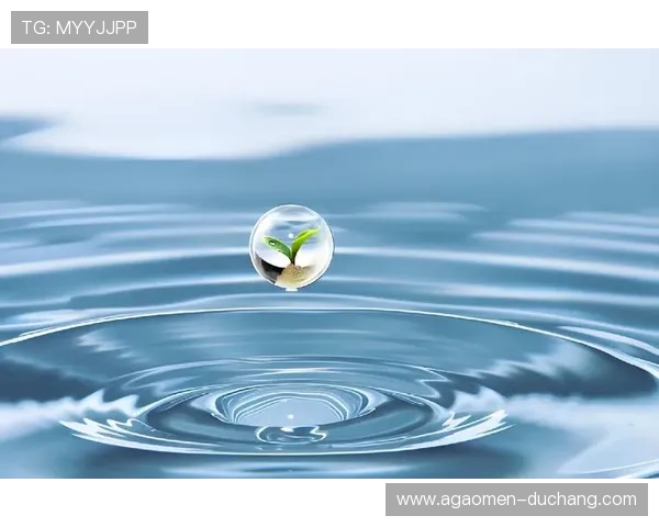 PA视讯网提供多样化的视觉行业资源,助你实现商业目标与创意梦想