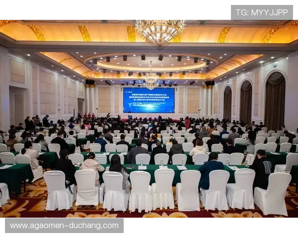 欧博视讯在直播行业中的技术革新与内容创意融合实践