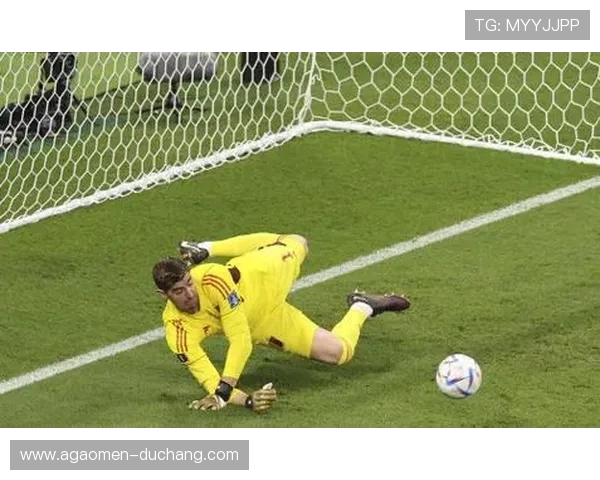 世界杯荷兰与日本比赛中门将扑救次数变化趋势及影响比赛结果的因素